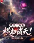 从废土崛起横扫诸天！